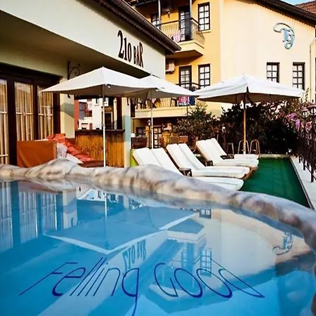 T And G Hotel *