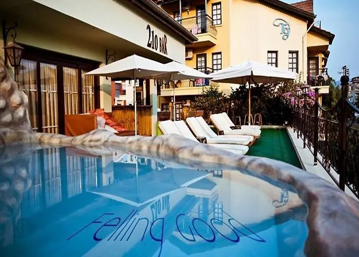 T And G Hotel *